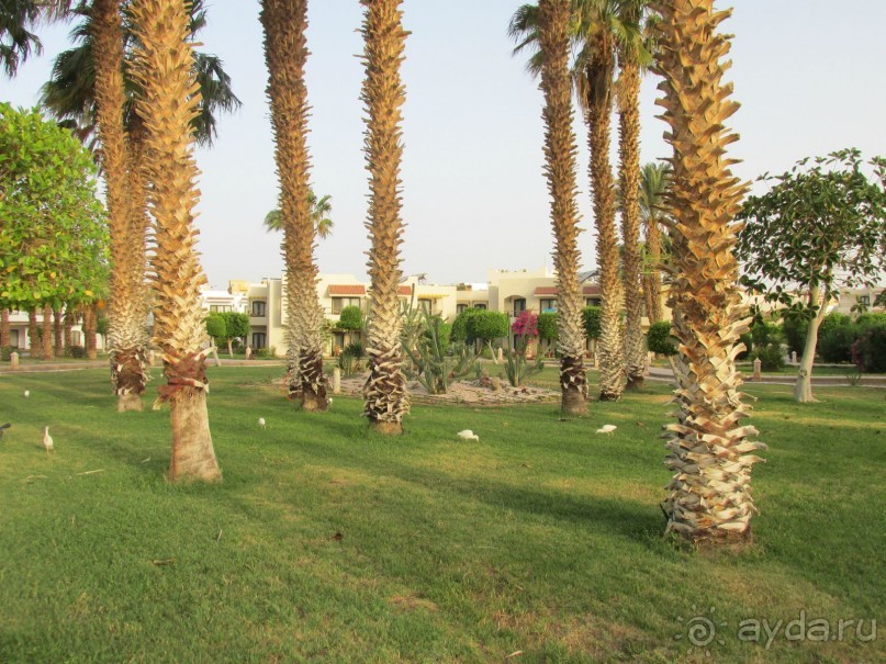 Остались отдыхом ожидаемо удовлетворены