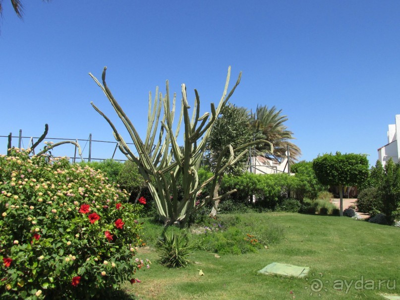 Остались отдыхом ожидаемо удовлетворены