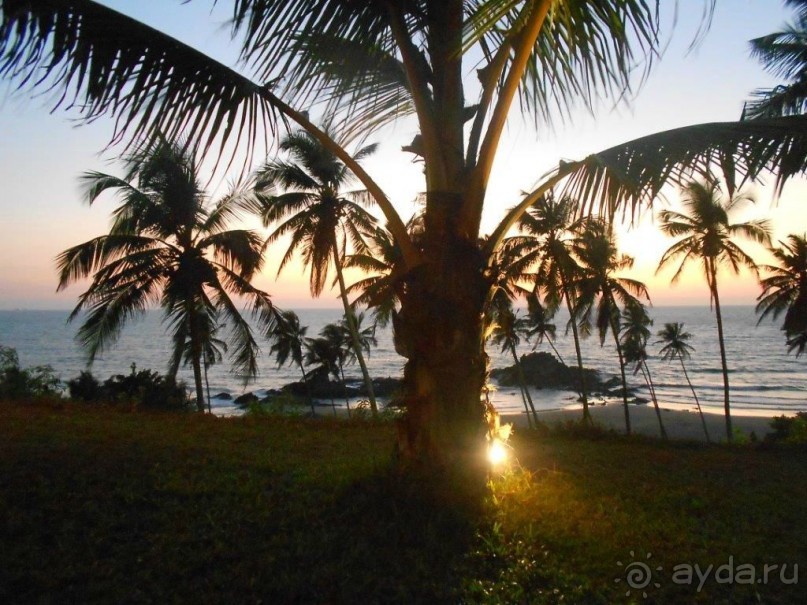 Сервис «закрывает» все недочеты.