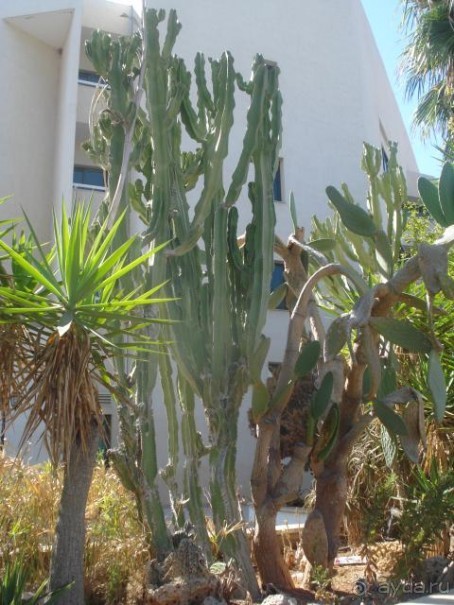 Милый отель с прекрасным персоаналом