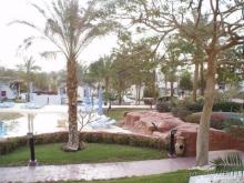 Замечательно!