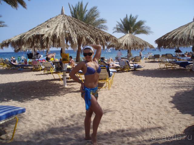 фото Sharm Dreams Resort 