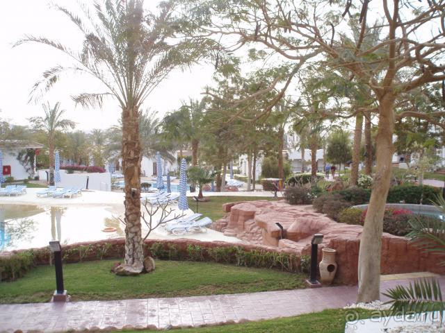 фото Sharm Dreams Resort 