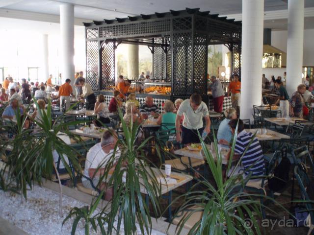 фото Sharm Dreams Resort 