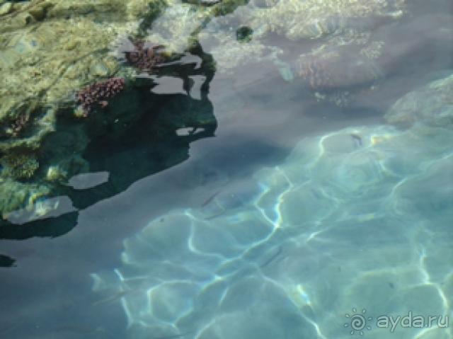 Неплохой отель Sonesta Pharaon