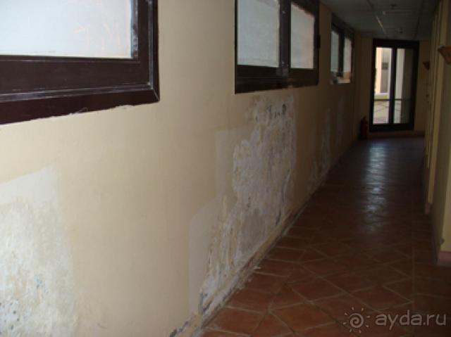 ОТВРАТИТЕЛЬНЫЙ, ПРОВОНЯВШИЙ ГАДЮШНИК БЕЗЗВЕЗДНЫЙ!!