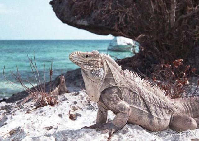 От зимы на Свободу! 