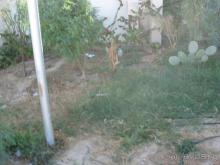 фото Solim Hotel