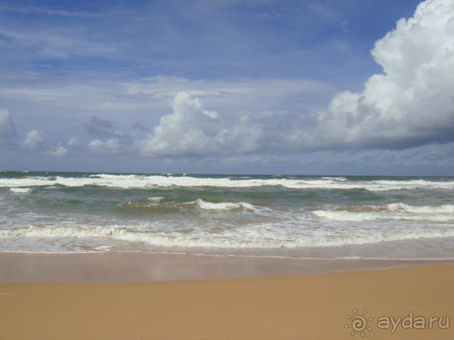 Страна цвета шафрана и карри