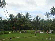 Страна цвета шафрана и карри