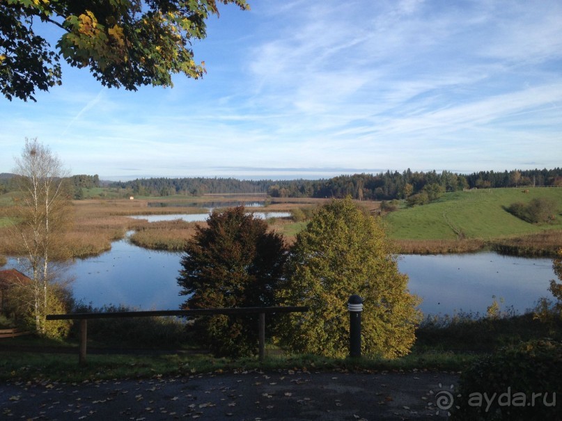 Предальпийское 