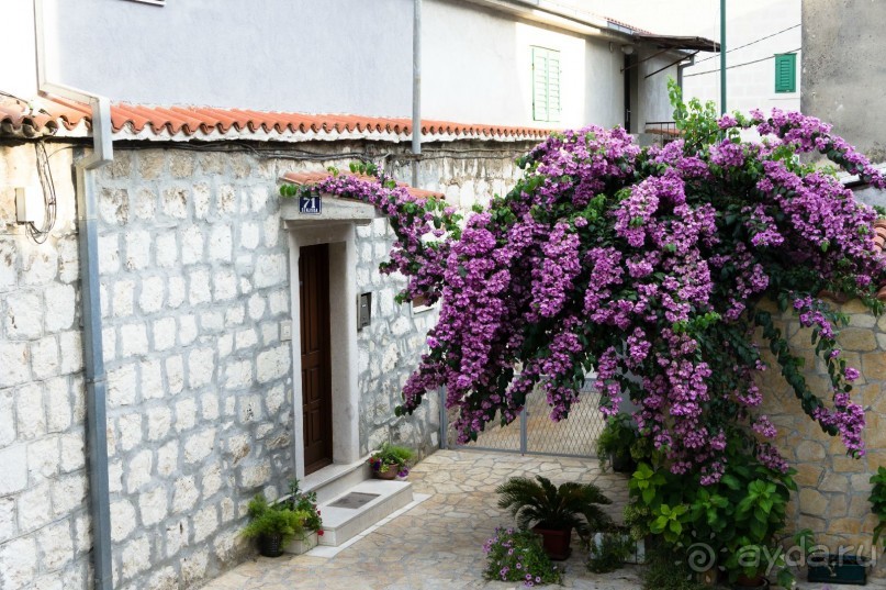 Сплит. Жарко, вкусно, интересно.