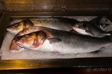 Сплит. Жарко, вкусно, интересно.