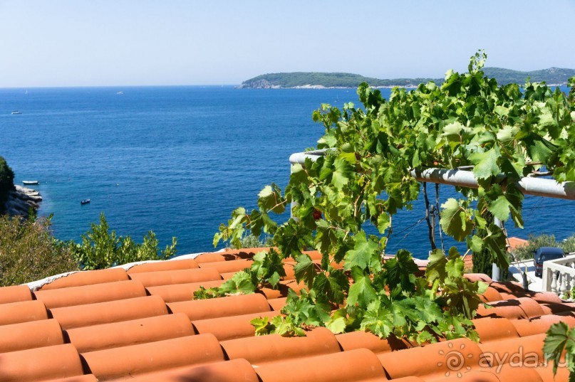 Сплит. Жарко, вкусно, интересно.