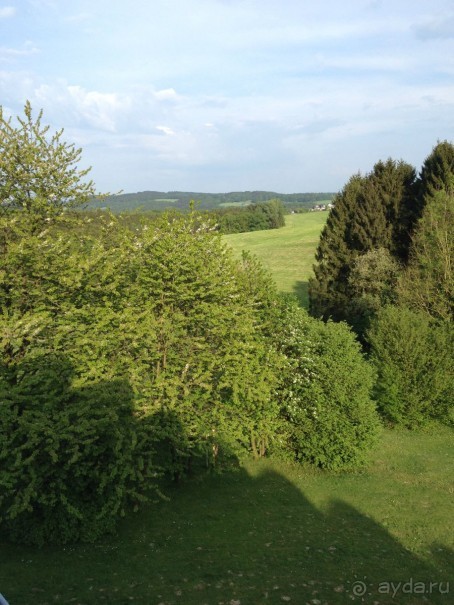 на солнечной поляночке....