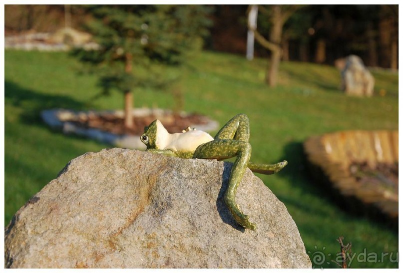 фото First Class Hotel