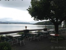 В гостях у Серого Медведя