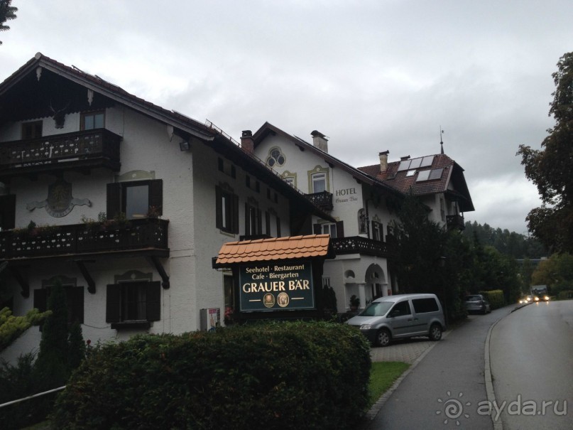 В гостях у Серого Медведя