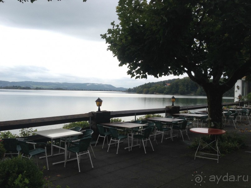 В гостях у Серого Медведя