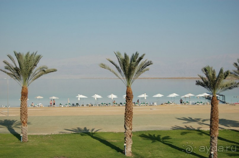 ....чудная страна....