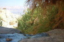 ....чудная страна....