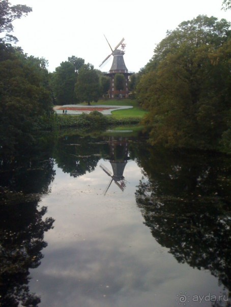 в гостях у элементов