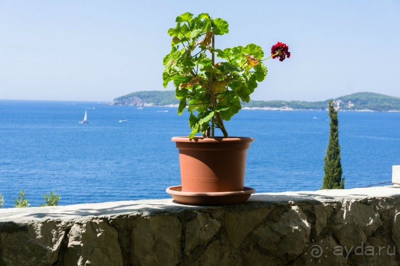 Дубровник. От Рима до Европы.