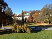 Лучшая кухня городка