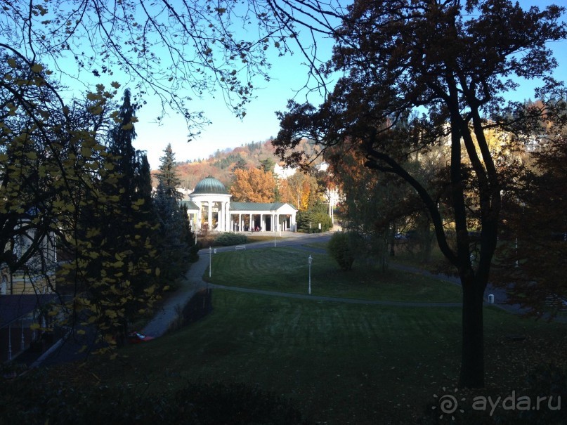 Лучшая кухня городка