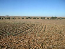 Как повезет