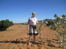 Как повезет