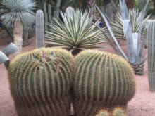 Как повезет