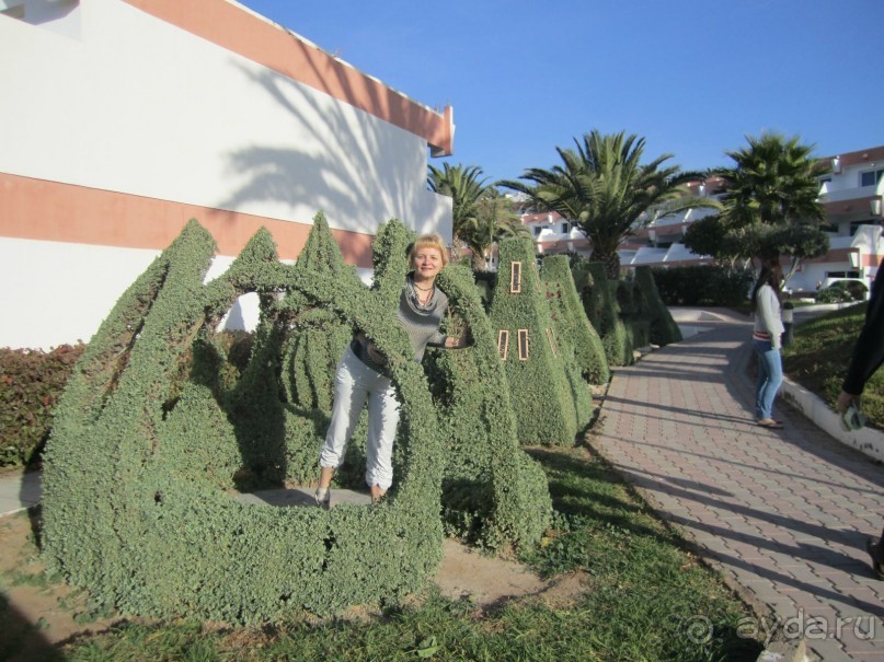 Как повезет