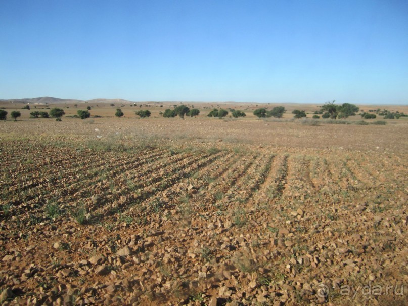 Как повезет