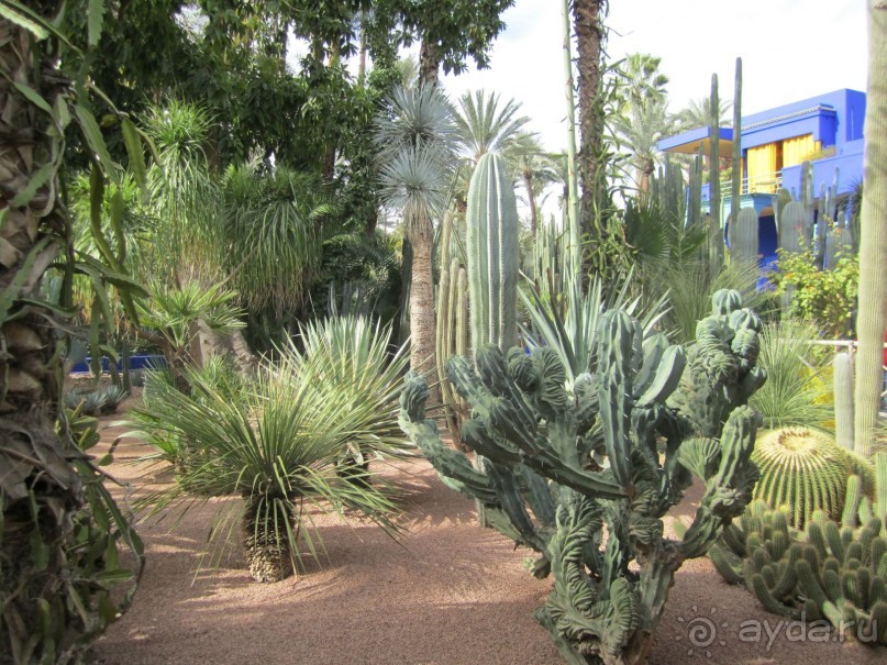 Как повезет