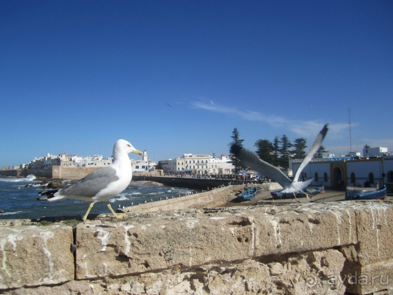 Как повезет