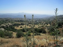 фото Cynthiana Beach