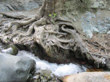 фото Cynthiana Beach