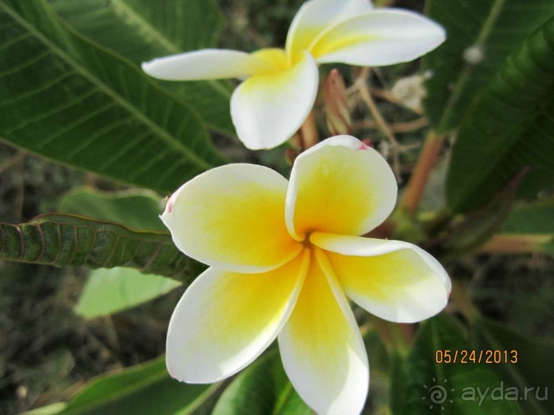 фото Cynthiana Beach