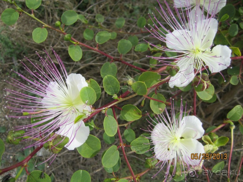 Компактно и комфортно