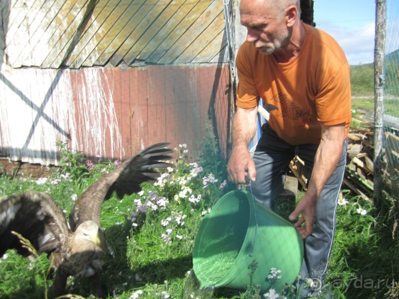 Сказка Полярного Урала