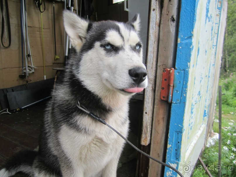 Сказка Полярного Урала