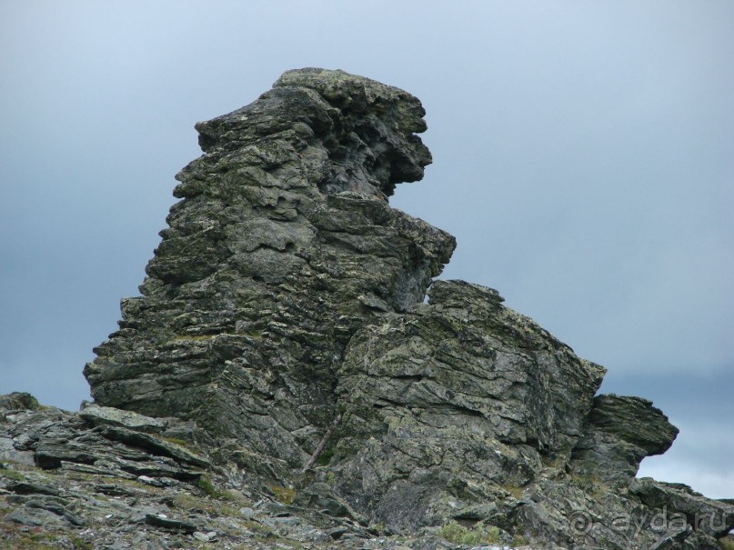 Сказка Полярного Урала