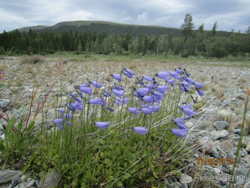 Сказка Полярного Урала