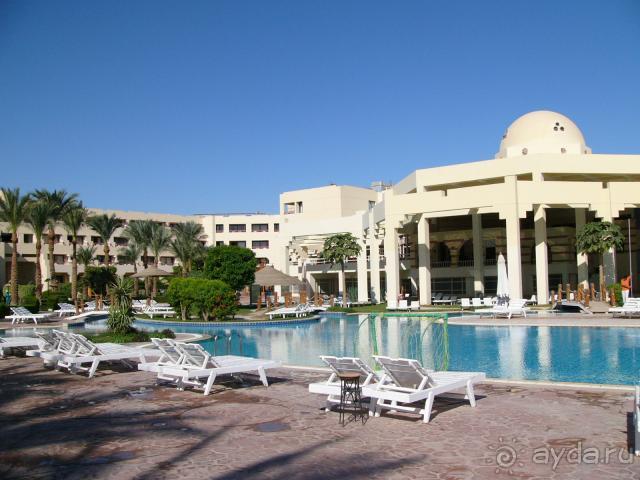 Думайте сами, решайте сами...