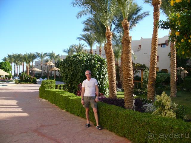 Думайте сами, решайте сами...