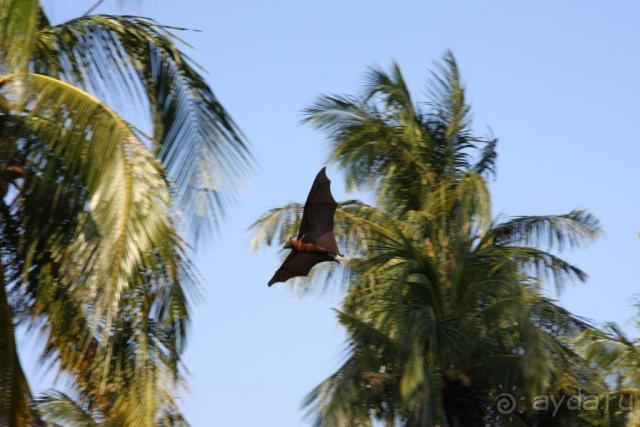 фото Литфонд