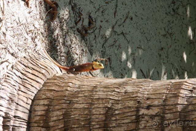 Жуткий зверь