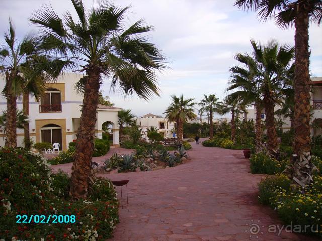 фото Amphoras Blu Hotel 