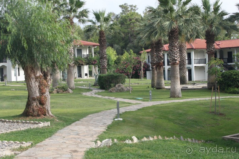 фото Village Inn